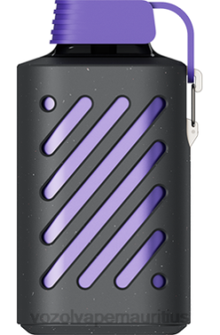 VOZOL Vape Price - VOZOL GEAR 10000 FOREST BERRY STORM 24PH291