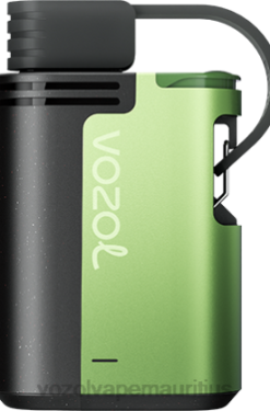 VOZOL Vape Price - VOZOL GEAR 4000C/6000 COOL MINT 24PH323