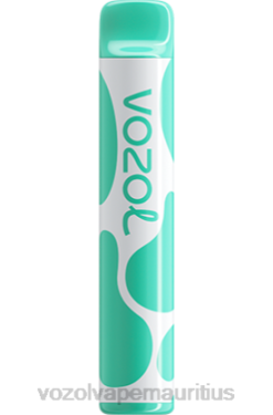 VOZOL Vape Price - VOZOL JOYGO 600 MENTHOL 24PH387