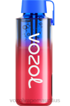 VOZOL Vape Price - VOZOL NEON 10000 BLUEBERRY ICE 24PH243