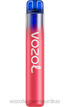 VOZOL Vape Price - VOZOL NEON 800 BLUEBERRY ICE 24PH283