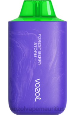 VOZOL Vape Price - VOZOL STAR 6000/8000 V2 FOREST BERRY STORM 24PH59
