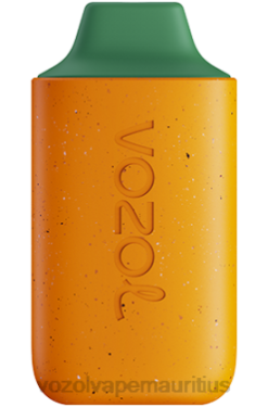 VOZOL Vape Price - VOZOL STAR 6000 KIWI GUAVA PASSION FRUIT 24PH115