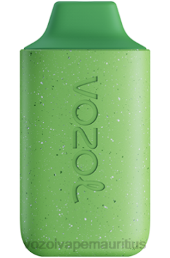 VOZOL Vape Price - VOZOL STAR 6000 STRAWBERRY KIWI LEMONADE 24PH131