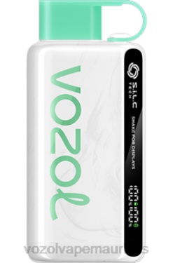 VOZOL Vape Price - VOZOL STAR 9000/12000 LEMON MINT 24PH43