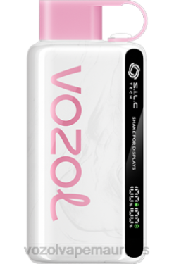 VOZOL Vape Price - VOZOL STAR 9000/12000 PINK LEMONADE 24PH27