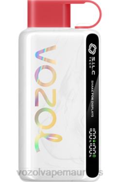 VOZOL Vape Price - VOZOL STAR 9000/12000 WATERMELON ICE 24PH35