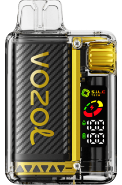VOZOL Vape Price - VOZOL VISTA 16000/20000 DRAGON FRUIT BANANA CHERRY 24PH3