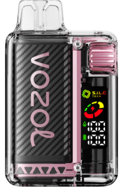 VOZOL Vape Price - VOZOL VISTA 16000/20000 PEACH ICE 24PH11